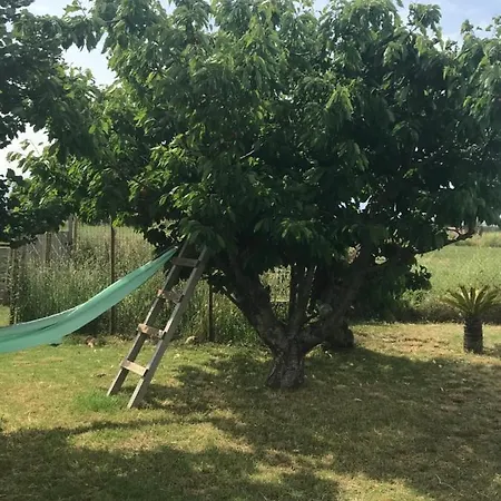 Casa de Férias Maison De En Camargue Marsillargues